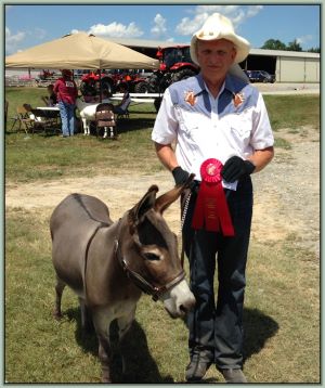 Cedar Acres Sunshine Serenity, Champion High Point Solid Color Donkey of Tennessee!